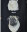 【JERZEES/ジャージーズ】9DOGS半袖Tシャツ/犬/半袖【WEB限定】