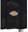 Dickies /ディキーズ　long sleeve shirt 長袖シャツ