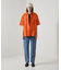 Dickies /ディッキーズ　DOUBLE KNEE PAINTERS DEN