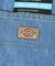 Dickies /ディッキーズ　DOUBLE KNEE PAINTERS DEN