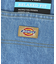 Dickies /ディッキーズ　DOUBLE KNEE PAINTERS DEN