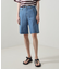 Dickies /ディッキーズ　 DENIM CARRPAINTER ST/デニ