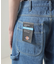 Dickies /ディッキーズ　 DENIM CARRPAINTER ST/デニ