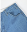 Dickies /ディッキーズ　 DENIM CARRPAINTER ST/デニ