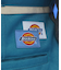 【Dickies/ディッキーズ 】SIDE LINE PLEATED WIDE