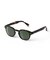 IZIPIZI/イジピジ　SUN POLARIZED/ポラロイズド #C