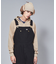 【Dickies/ディッキーズ】    OVERALL オーバーオール