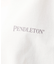 【PENDLETON/ペンドルトン】SOLOTEX /ソロテックス/Jersey