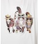 【CORISCO/コリスコ】 Animal猫 Tシャツ/アニマルTシャツ