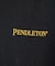 【PENDLETON/ペンドルトン】 BACK PRINT Tシャツ / バック