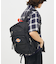 【DICKIES/ディッキーズ】SQUARE POCKET BACK PACK