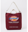 【DICKIES/ディッキーズ】LOGO PRINT 2WAY SHOULDER