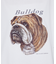 【LEE/リー】　BULLDOG PRINT TEE /ブルドッグプリントTシャ