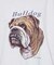 【LEE/リー】　BULLDOG PRINT TEE /ブルドッグプリントTシャ