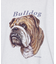 【LEE/リー】　BULLDOG PRINT TEE /ブルドッグプリントTシャ