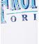 【FRUIT OF THE LOOM/フルーツ オブ ザ ルーム】Print T