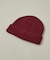 【POLER / ポーラー】WORKERMAN BEANIE / ワーカーマン
