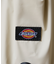 【Dickies / ディッキーズ】SL3WAY MP DS SACK/合成皮革