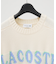【LACOSTE / ラコステ】ブランドネームロゴシャギーニッティングセーター