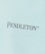 【PENDLETON / ペンドルトン】Gradation dye /グラデーシ