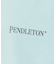【PENDLETON / ペンドルトン】Gradation dye /グラデーシ