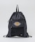 【DICKIES/ディッキーズ】ICON LOGO KNAPSACK / アイコ