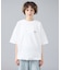【PENDLETON/ペンドルトン】カルキュロ バックプリント 半袖Tシャツ /