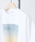 【BIRD】 グラフィックTシャツ