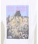 【THE NORTH FACE / ノースフェイス】Mountain Flowe
