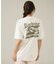 【Barbour / バブアー】 MTS1611 CAMBER T/バックプリン