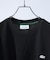 【LACOSTE / ラコステ】BACK PRINT BASIC TEE / バ