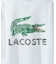 【LACOSTE / ラコステ】 VINTAGE LOGO TEE / ビンテー