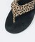 【ISLAND SLIPPER / アイランドスリッパ】LEOPARD SAND