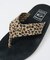 【ISLAND SLIPPER / アイランドスリッパ】LEOPARD SAND