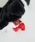 【CHUMS / チャムス】Booby Friends Key Pouch /