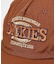 【Dickies / ディッキーズ】EX VINTAGE LIKE LOGO C