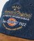 【Dickies / ディッキーズ】EX RANDOM LOGO CAP/ランダ