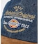 【Dickies / ディッキーズ】EX RANDOM LOGO CAP/ランダ