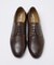 【SHOO IN SHOE】スタンダード プレーントゥ シューズ 一部店舗＋WE