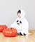 【ハロウィン】おばけポンチョ：80～100cm