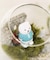 苔プリガラスドーム12cm