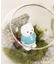 苔プリガラスドーム12cm
