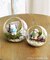 苔プリガラスドーム12cm