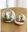 苔プリガラスドーム12cm