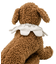 スカラップスタイDOG
