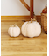 プードルボアかぼちゃ：M／natural halloween