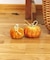 ベロアかぼちゃ：S／natural halloween