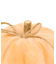 ベロアかぼちゃ：S／natural halloween