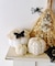 蝶々クリップ：5個セット／Crochet Halloween