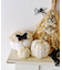 蝶々クリップ：5個セット／Crochet Halloween
